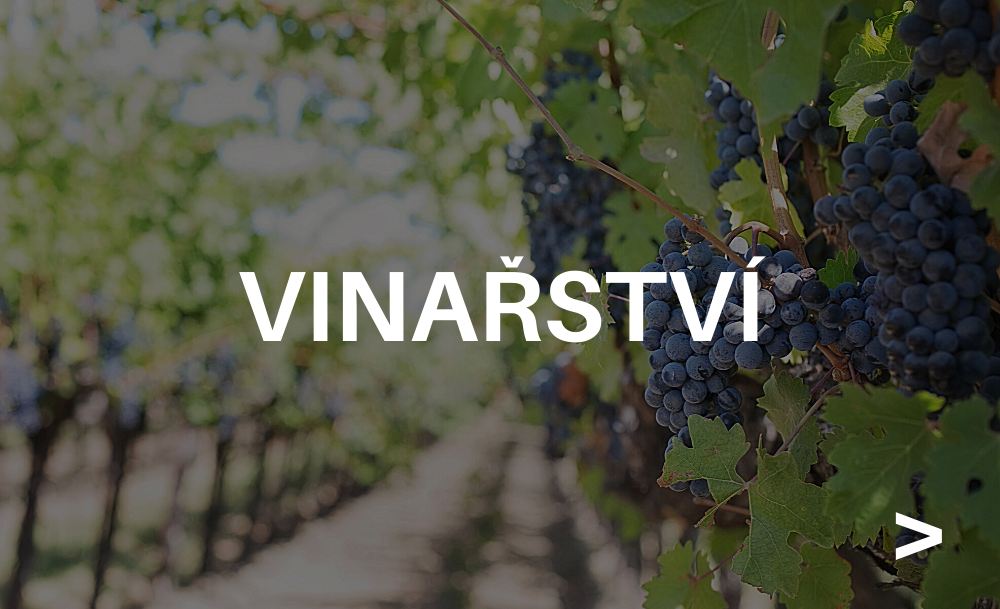Vinařství