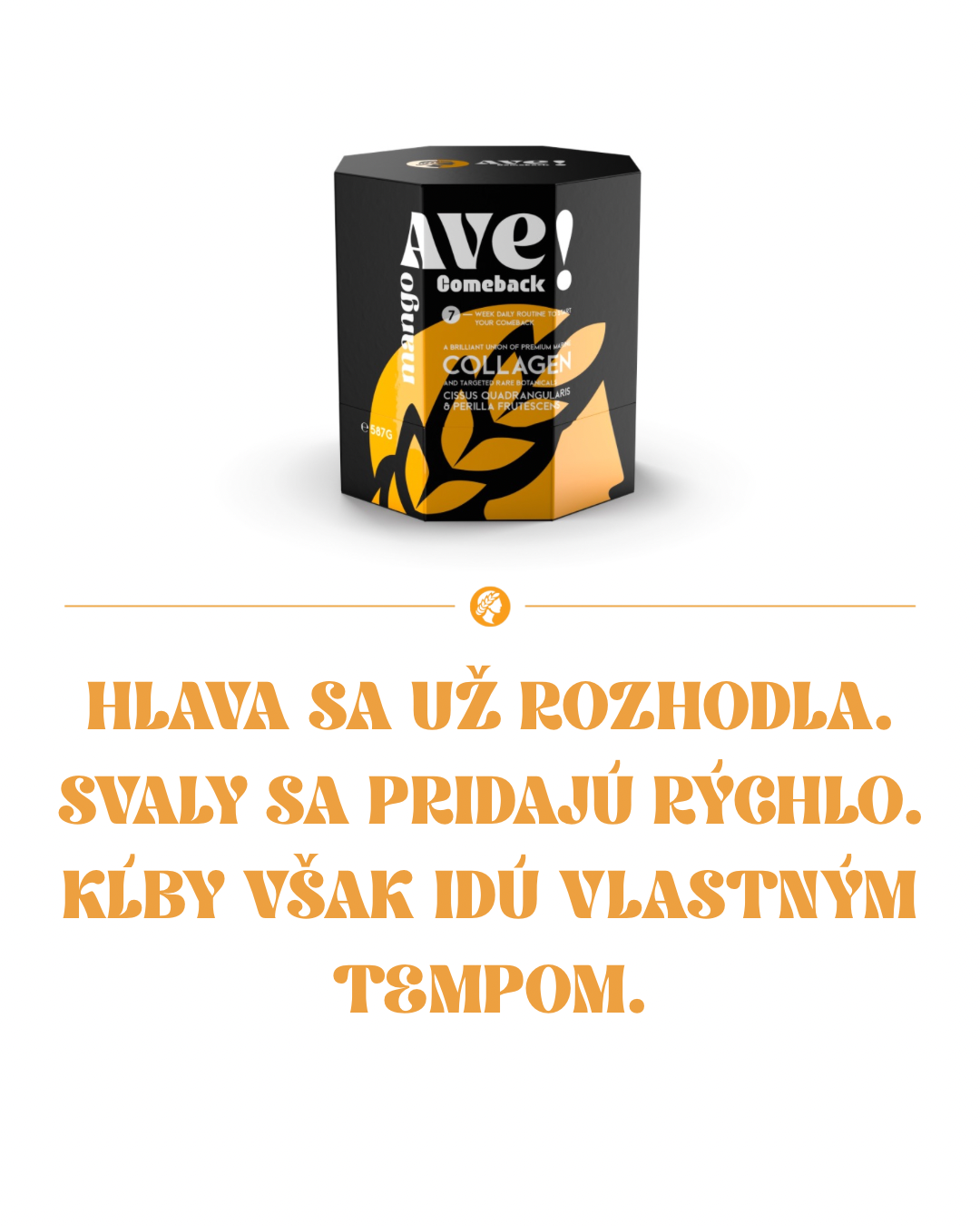 Hlava sa už rozhodla. Svaly sa pridajú rýchlo. Kĺby však idú vlastným tempom.