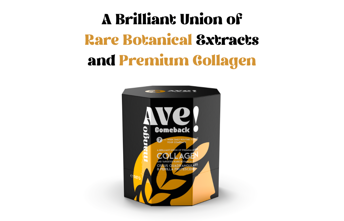 First Edition of AVE Comeback!