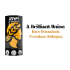 AVE SALUS banners 8