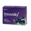 Ostrovidky