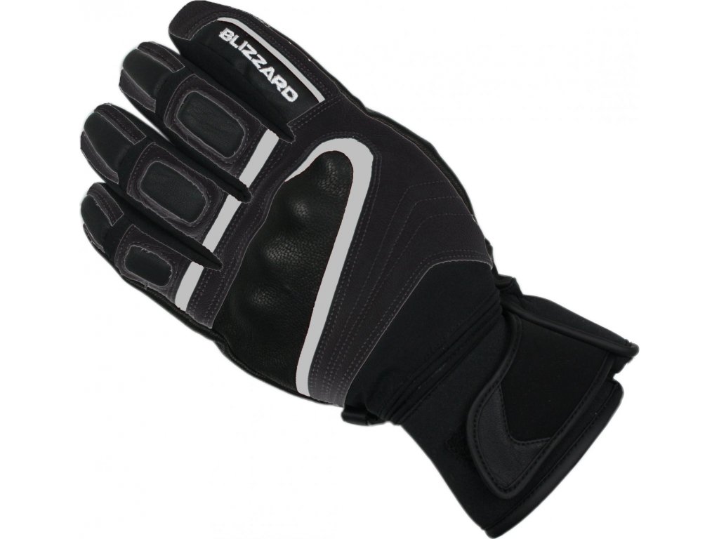 Blizzard Competition BLACK SILVER Gloves Ski gloves AVEX SKI