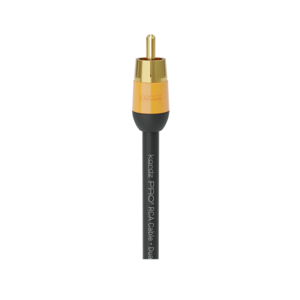 PRO3 1RCA web1