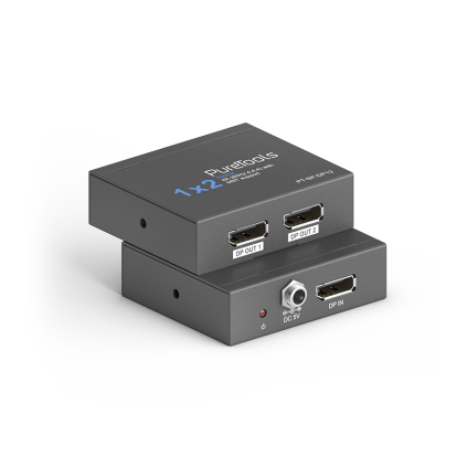 PT SP DP12 web1