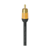 Kordz PRO3RCA 35
