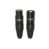 ONE XLR web1.jpg4