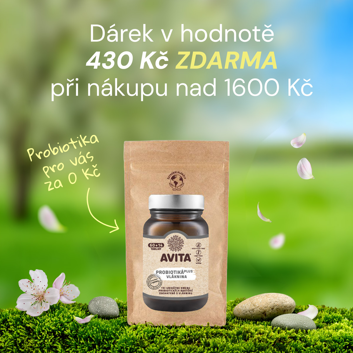 Moringa darcek nad 1600 Kc