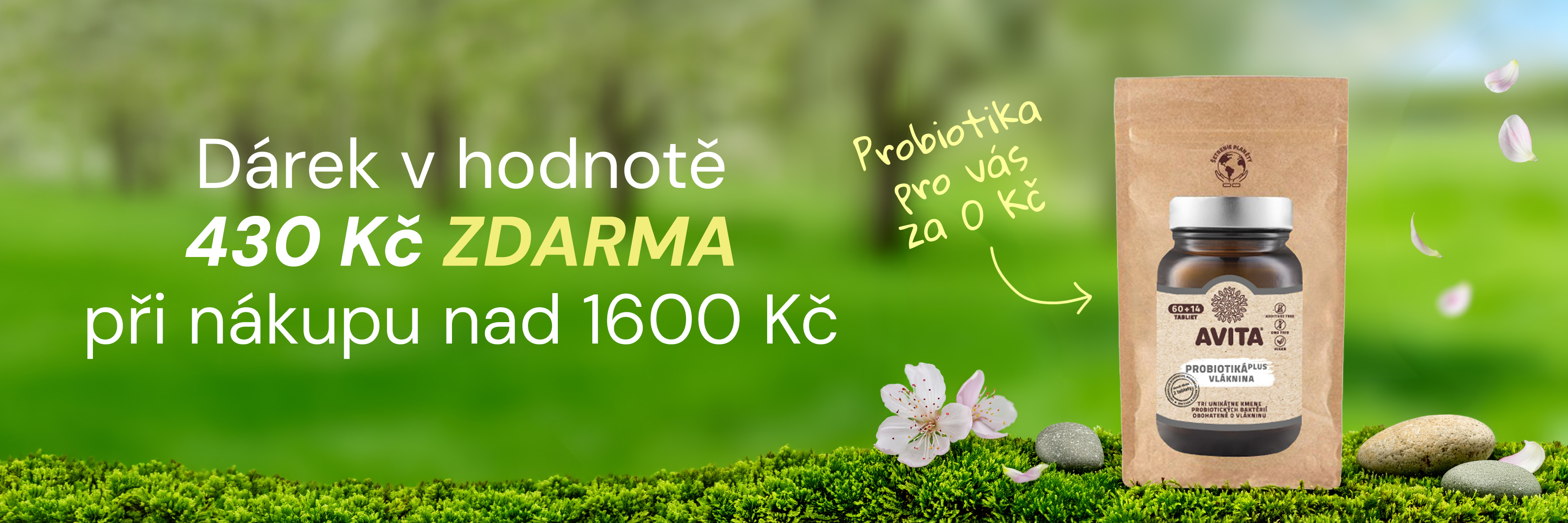 Moringa darcek nad 1600 Kc