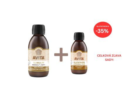 Sada Detox a Lehkost