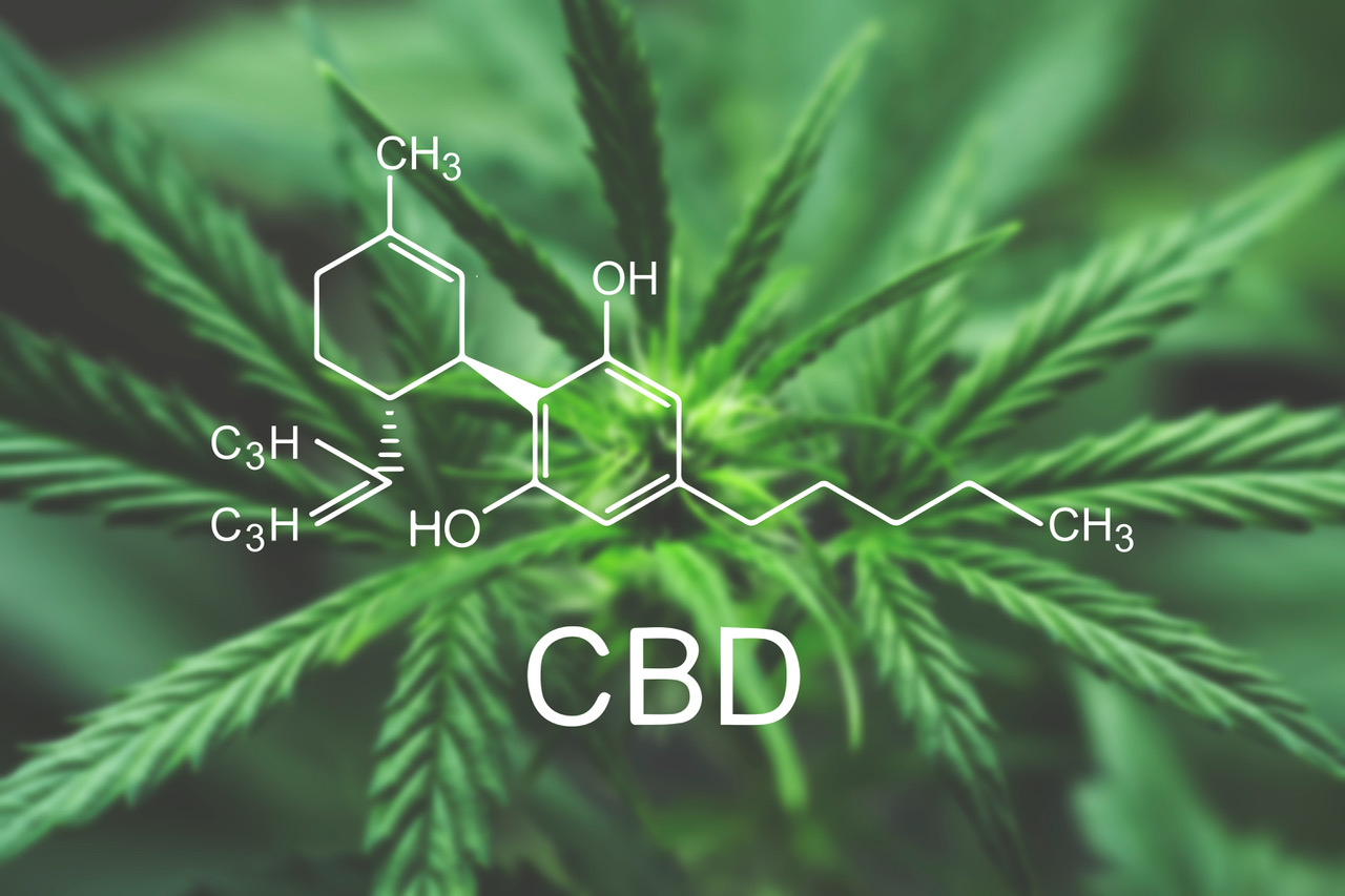 kanabinoidy THC konope lieciva rastlina