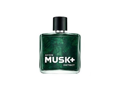 musk ins