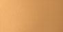 Warm Light Tan