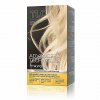 Advance Techniques barva na vlasy 11 0