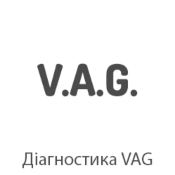 vag diahnostyka