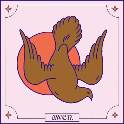 Třídění domova s Kristý