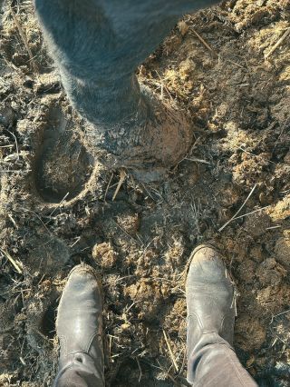 Poslední dobou nedává větší smysl než nacházet přítomný okamžik, radost, smích a lásku v sobě i okolo. Občas k tomu najdu...