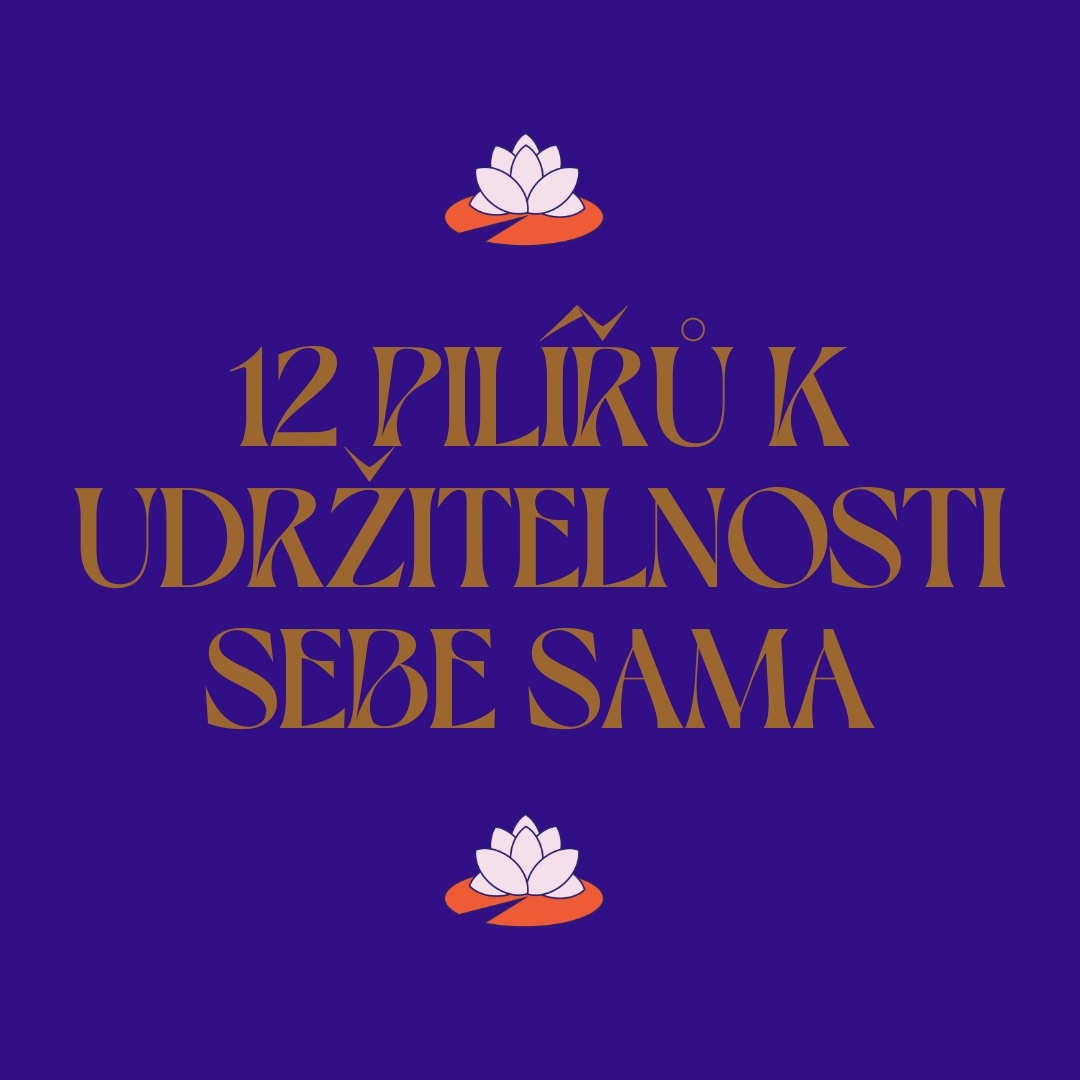 12 PILÍŘŮ K UDRŽITELNOSTI SEBE SAMA