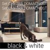 SET Ajax Chytrá domácnosť white