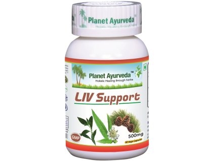 2149 liv support pecen kapsule