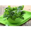 1450 2 tulsi tea originalny ajurvedsky caj porciovany