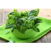 1801 1 tulsi citron zazvor ajurvedsky caj sypany 100 g