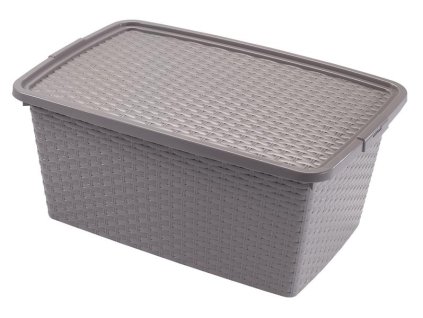 BOX ÚLOŽNÝ S VÍKEM, 20L, PLAST, 43X32X22 CM