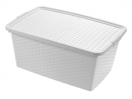 BOX ÚLOŽNÝ S VÍKEM, 10L, PLAST, 33X23X16CM ASSORT