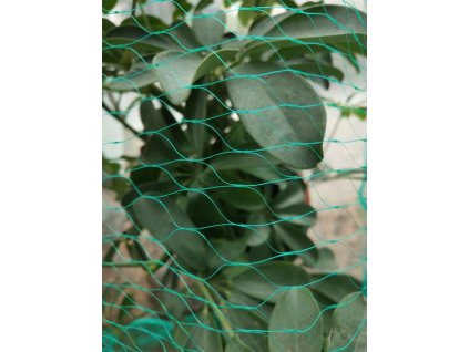 SÍŤ PROTI PTÁKŮM 4X10M, OČKA 2X2CM, POLYETHYLEN