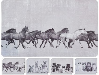 Prostírání 43,5x28,5 cm, 4 dekory