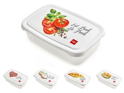 box  2,0l obd., OBRÁZEK, 26x17x7cm, plast