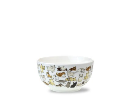 1ce839b00abf00b2206ebda9a