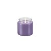 Vonná svíčka FANCY HOME 410 g, Provence