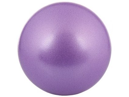 FitGym overball fialová