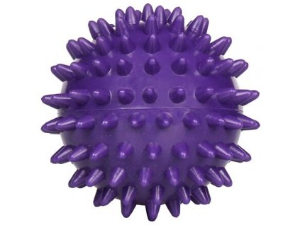 Massage Ball masážní míč fialová