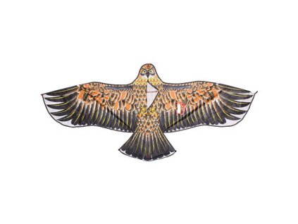 Eagle 17 létající drak (varianta 40258)