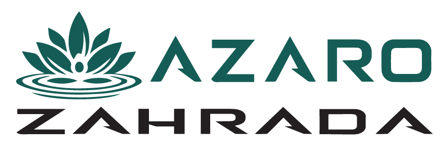 Azaro nove logo