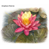 Nymphaea wanvisa