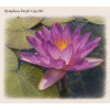 Nymphaea purple Cup ISG