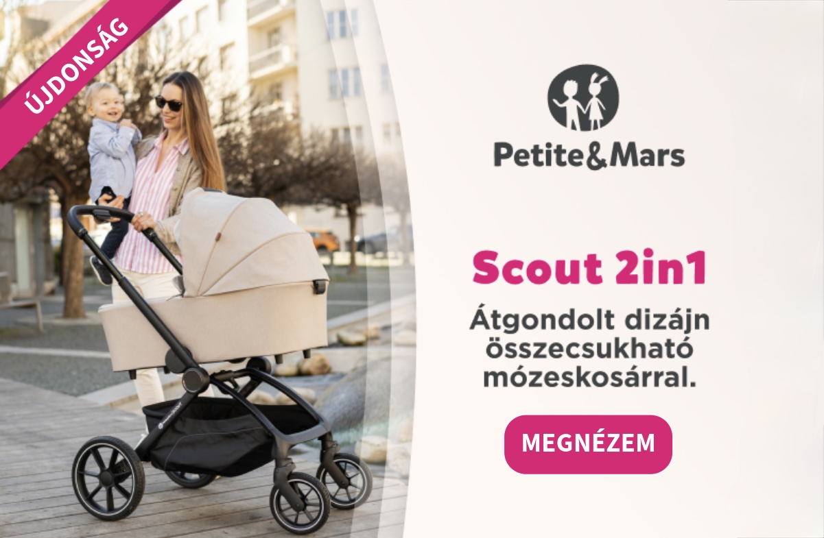Scout