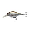 23889 gravity crank mr 5 8cm 9g floating roach[1]