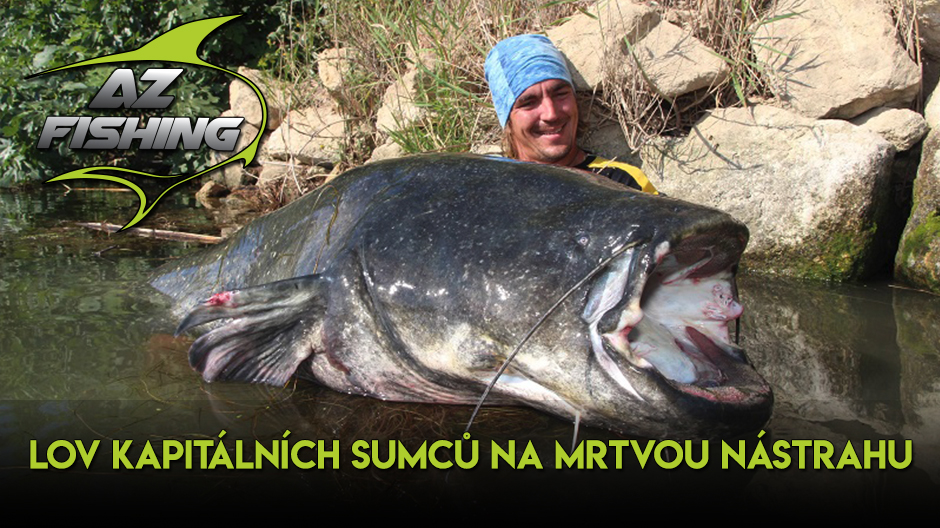 Jak s Dead Bait Float oživit nástrahu a ulovit tak výstavní sumce?