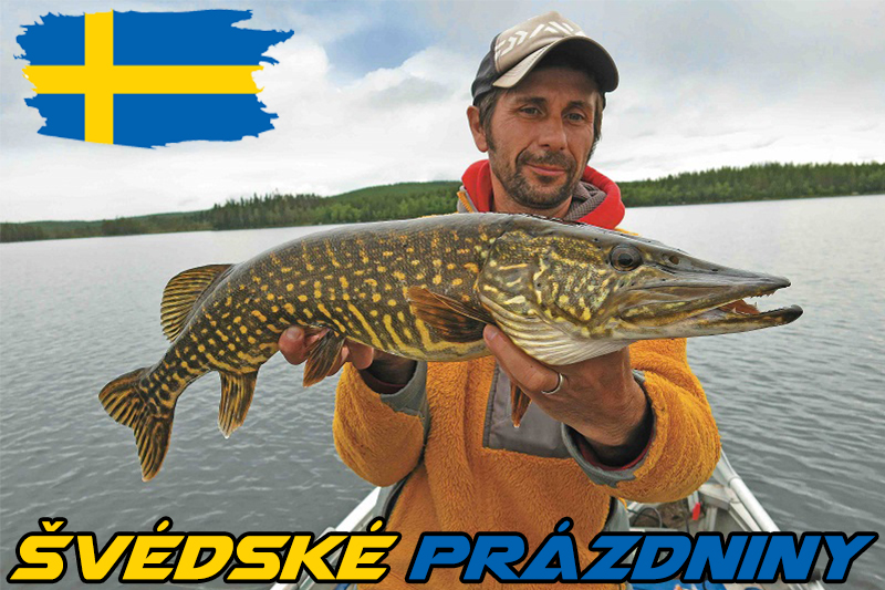Švédské prázdniny: Na lov přirozených ryb v jejich přirozeném prostředí