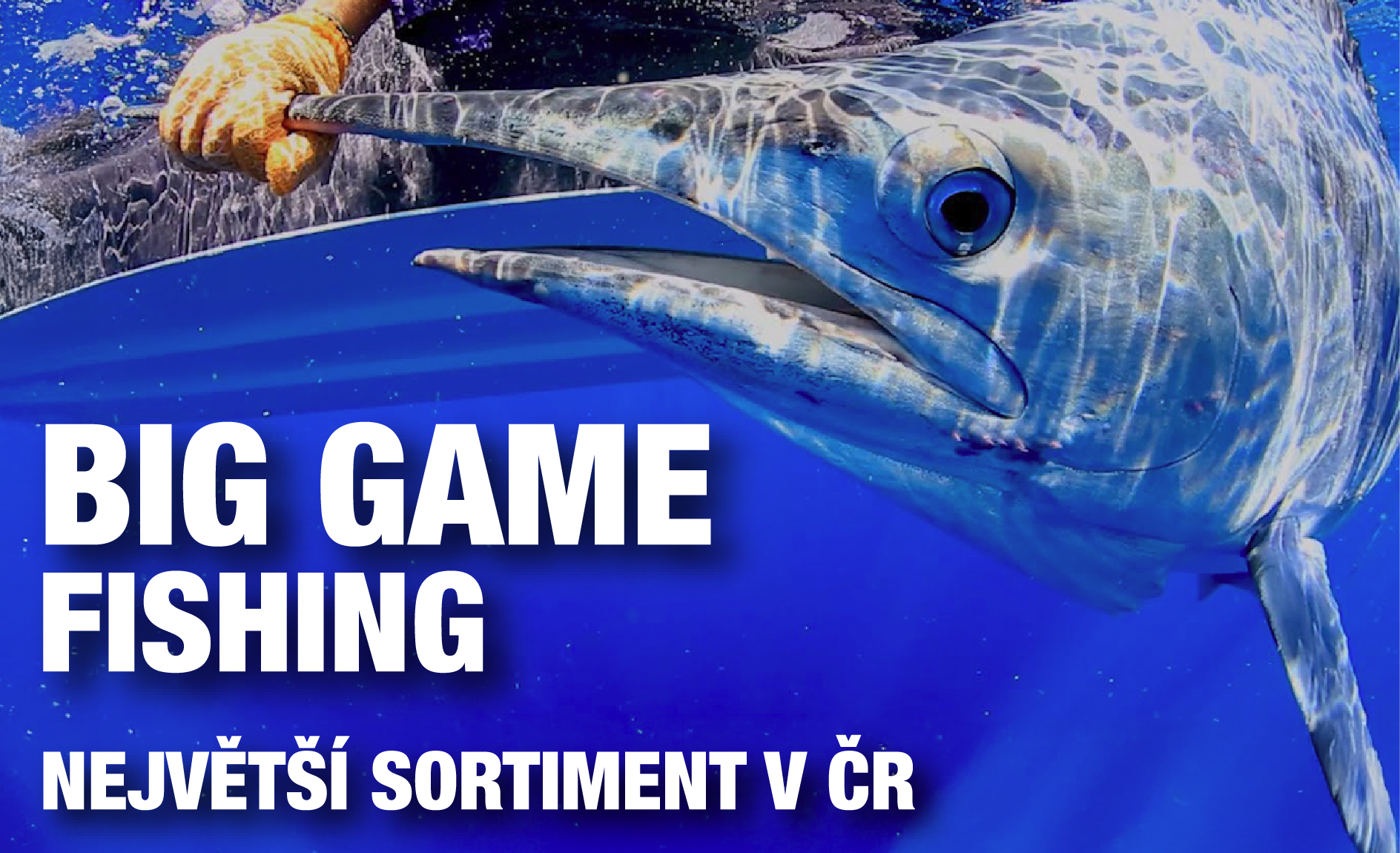 BigGame Fishing