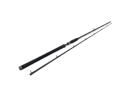 Westin Prut W3 Powershad-T 2nd 8'3" 2,48m XXH 40-130g 2-díl