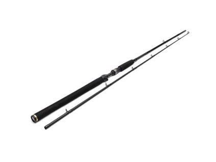 Westin Prut W3 Jerkbait-T 2nd 6'6" 1,95m H 20-80g 2-díl