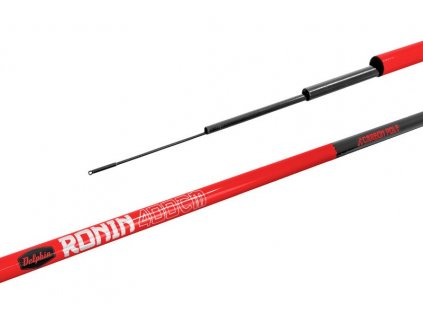 delphin bic ronin 3 m