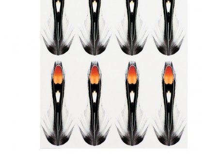 Sybai Umělé Peří Jungle Cock Substitute Natural (Délka 35mm)