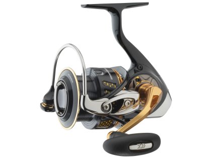 daiwa morethan