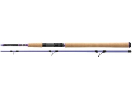 Daiwa Prut Team Pilk 2,4m 100-200g 2-díl