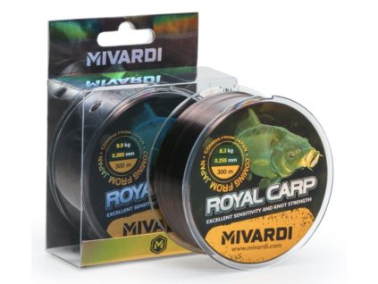 Snímek obrazovky 2026 02 11 v 21.01.38